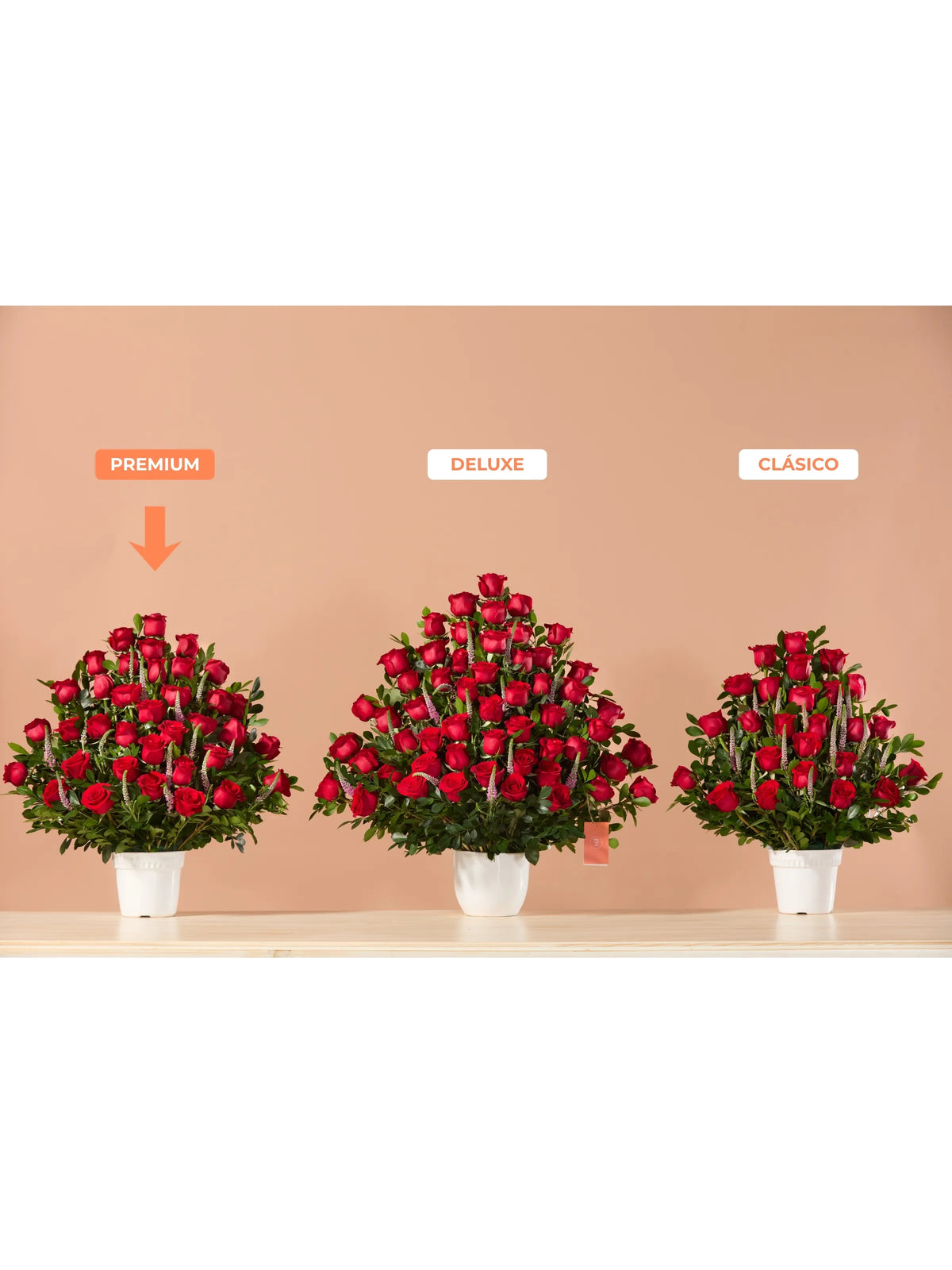 Abanico de Rosas Rojas - Premium