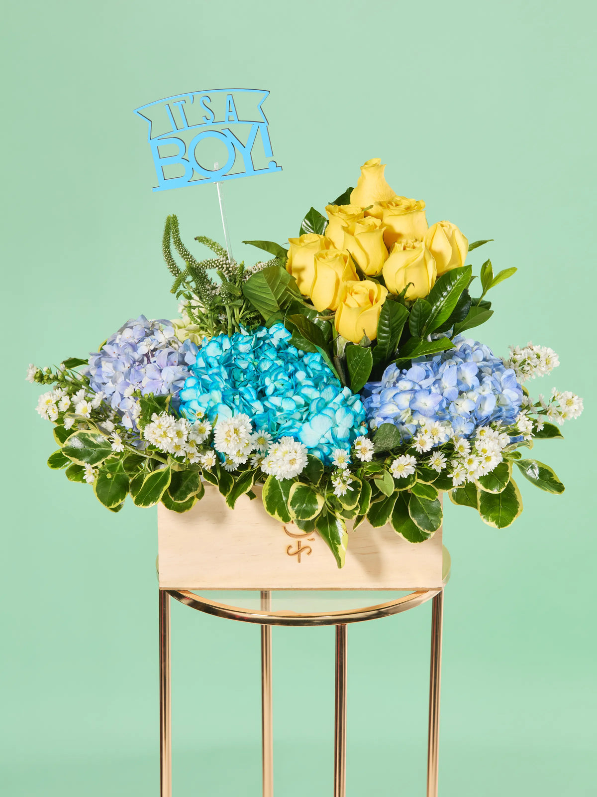 It’s a Boy · Premium