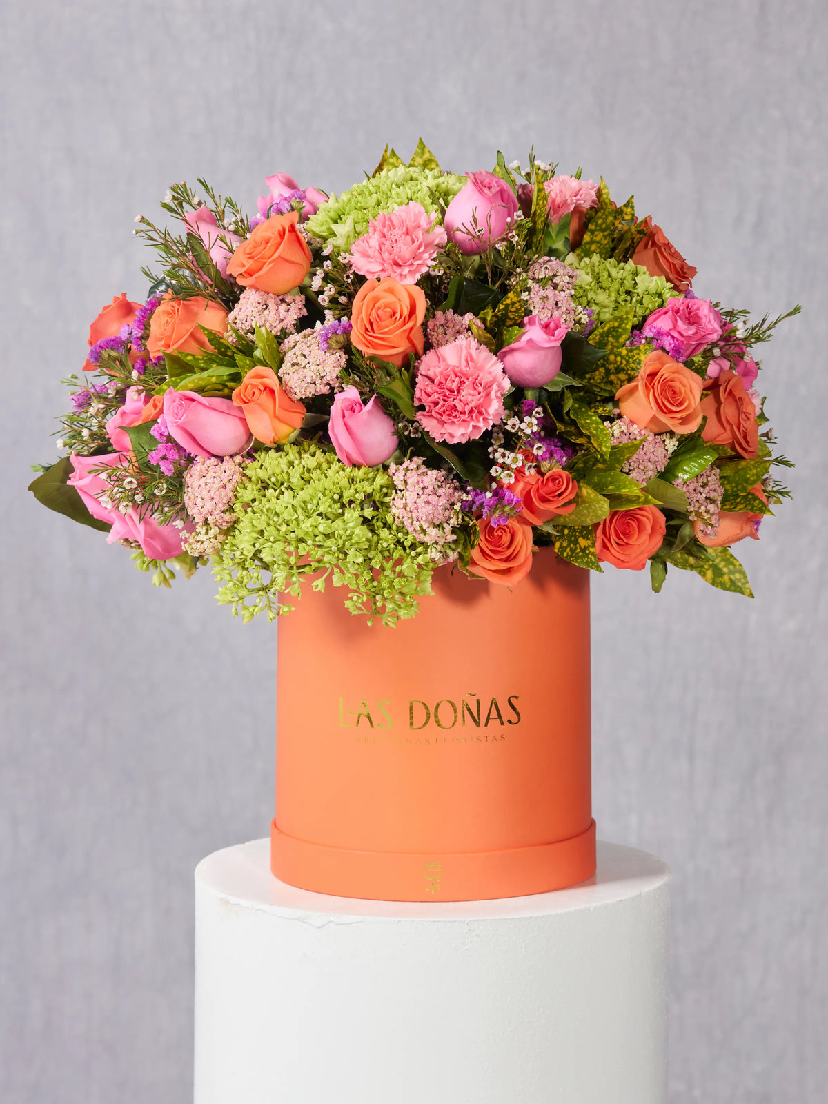 Doña Renata · Deluxe