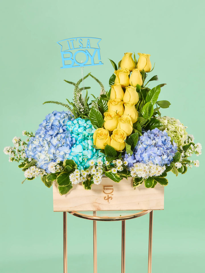 It’s a Boy · Deluxe