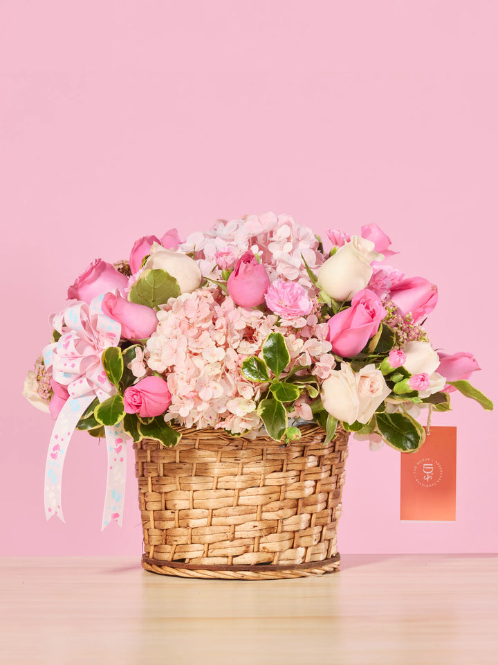 Bienvenida Princesa · Premium