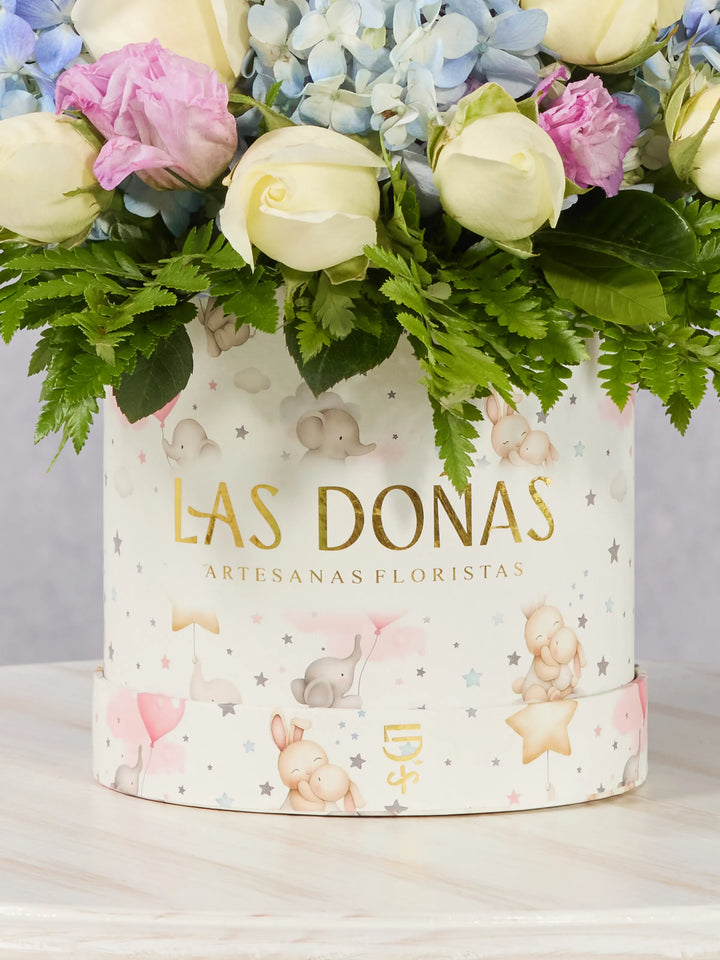Tendal Pequeño Príncipe · Clásico