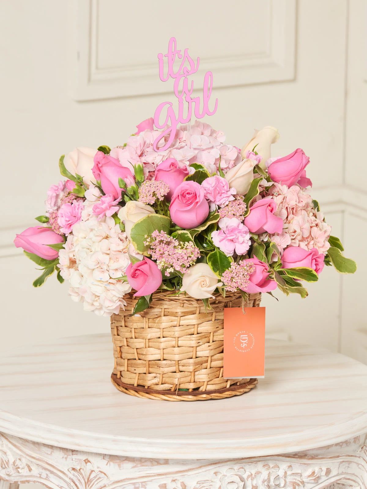 Bienvenida Princesa · Premium