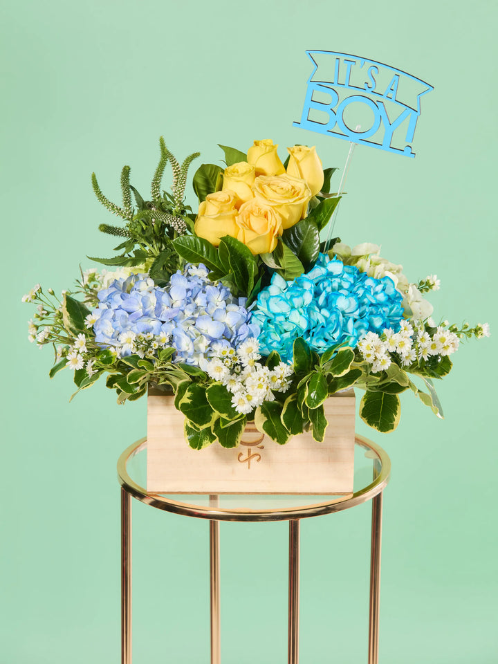 It’s a Boy · Clásico