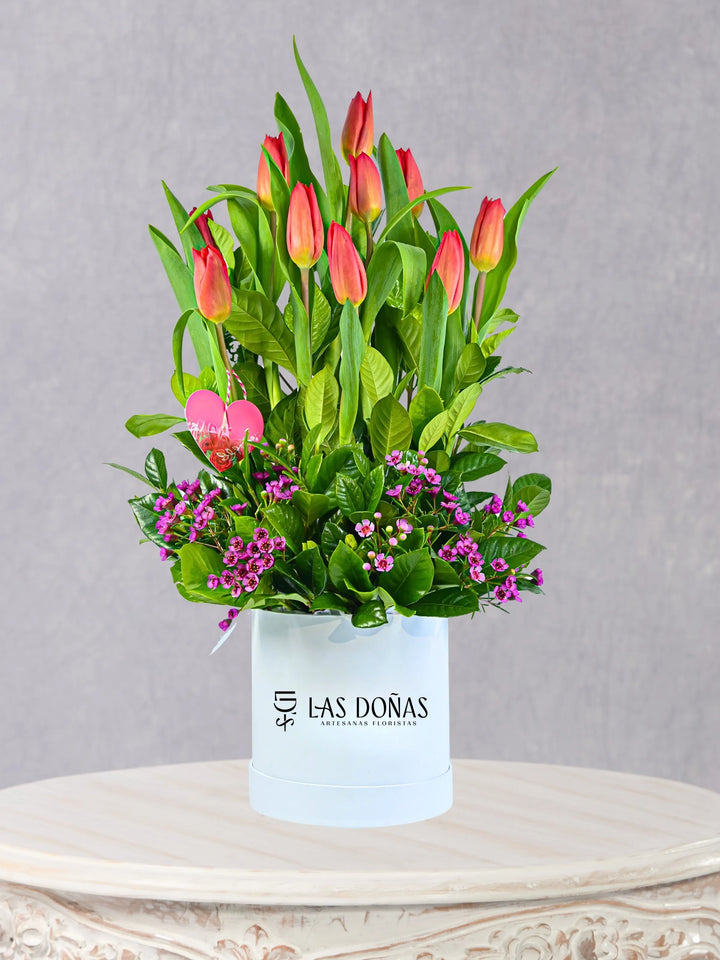 Pasión De Tulipanes box floral con 10 tulipanes rojos