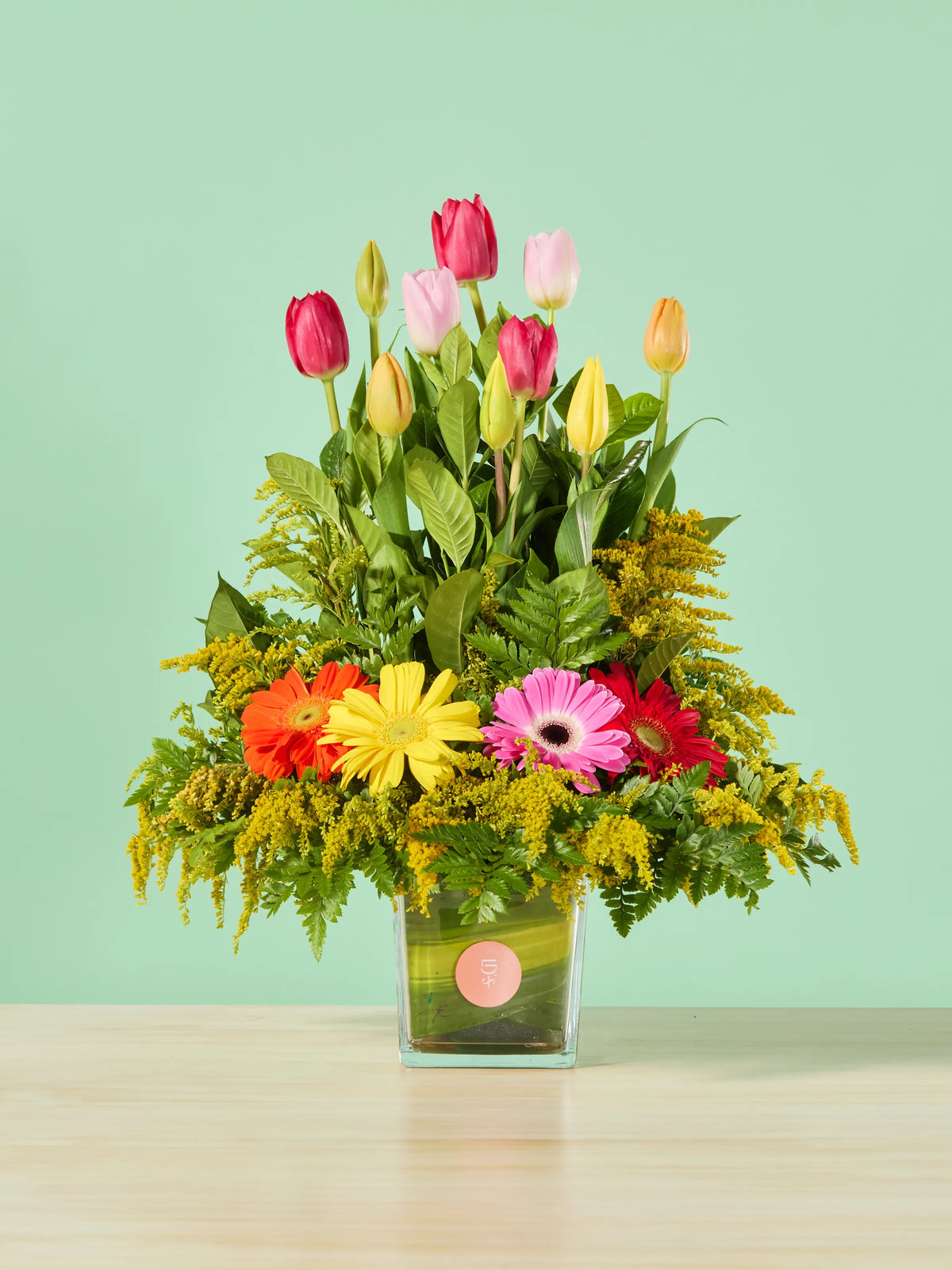 Tulipanes y Gerberas · Premium