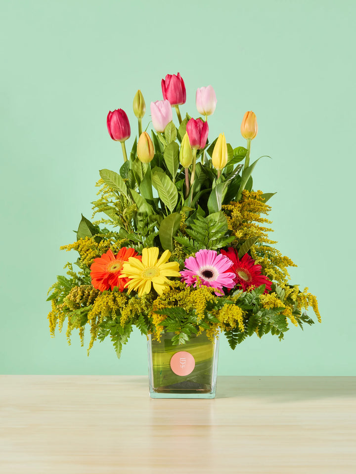 Tulipanes y Gerberas · Premium
