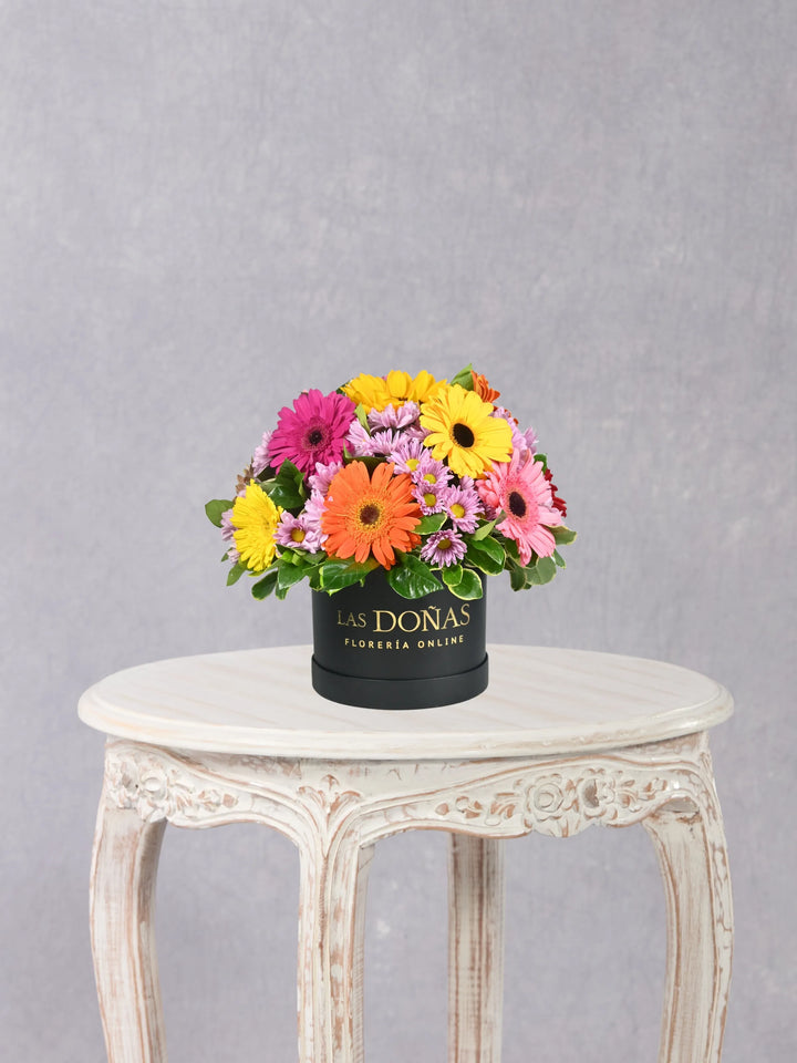 Gerberas y Margaritas