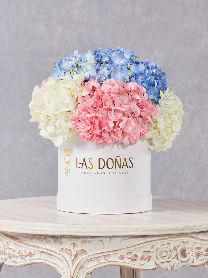 Box de Hortensias · Premium