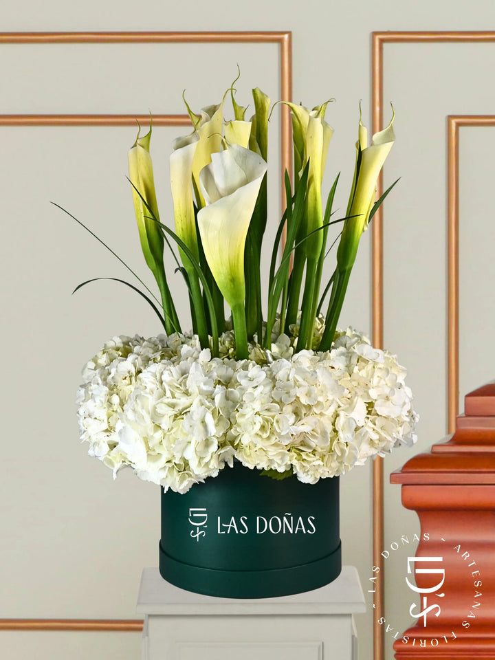 Hortensias y Cartuchos arreglo de condolencias con 12 calas y hortensias