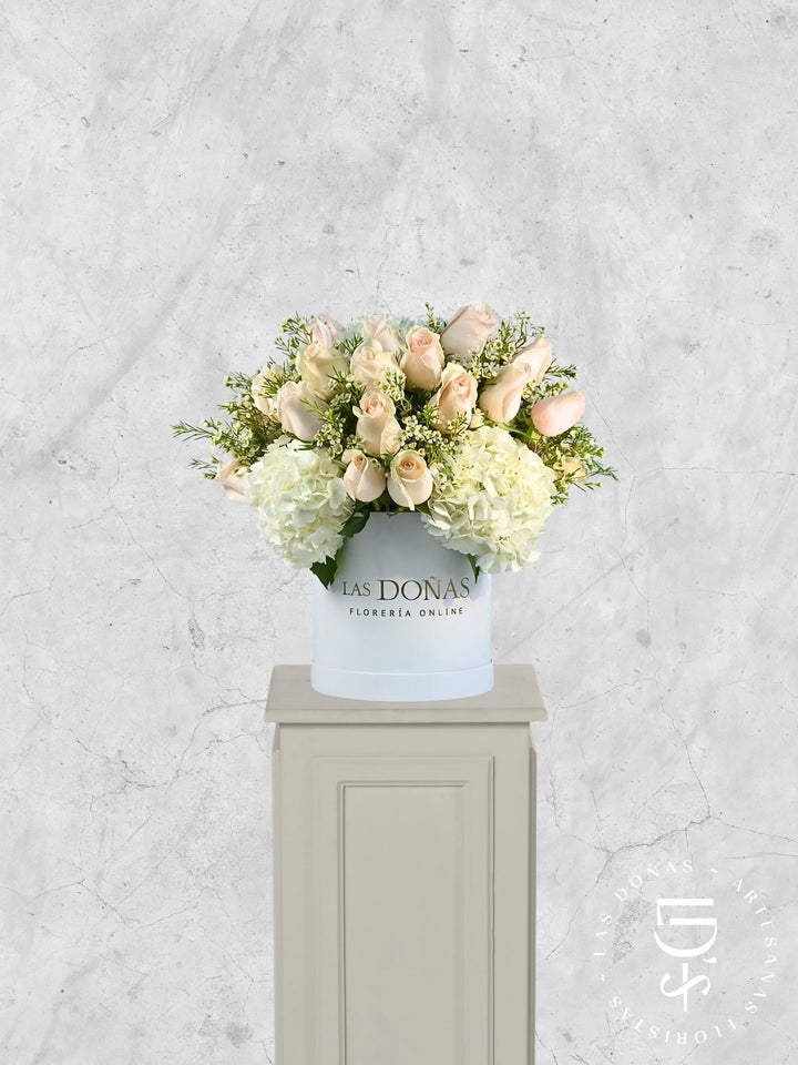 Box Condolencias box floral con 36 rosas blancas