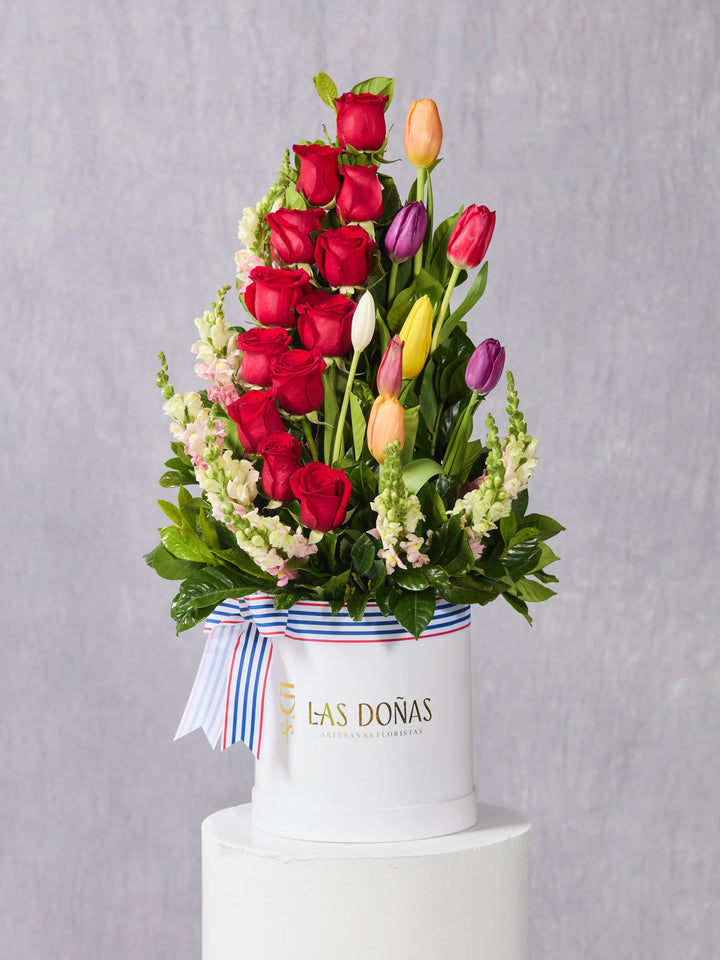 Doña Luz · Premium