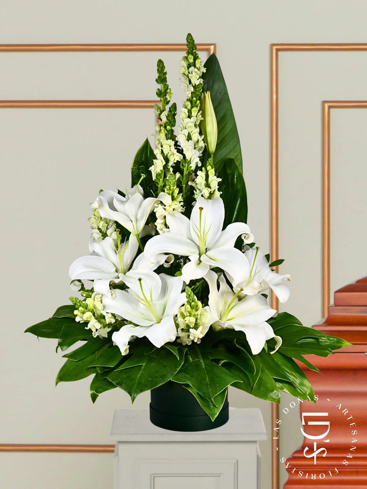 Arreglo de Lirios y Dogo Blanco arreglo de condolencias con Liliums blancos + Dogo