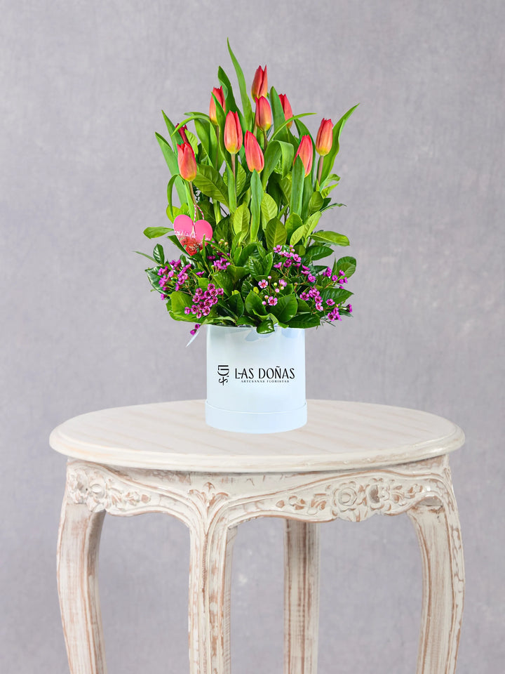 Pasión De Tulipanes box floral con 10 tulipanes rojos