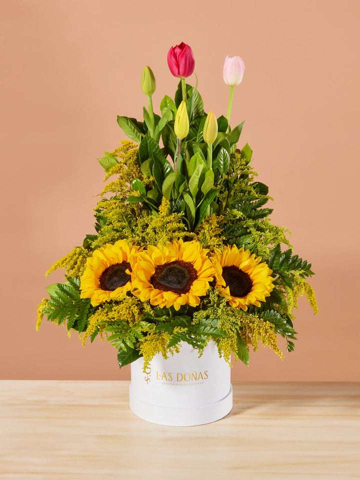 Box de Tulipanes y Girasoles · Clásico