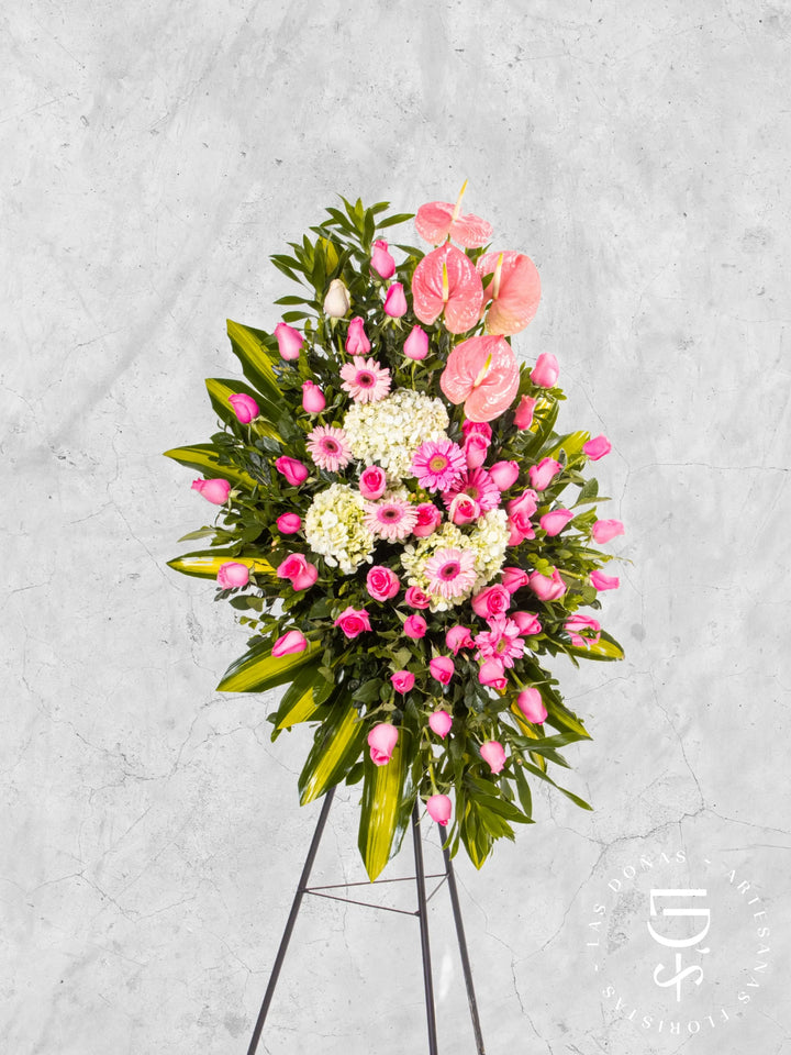 Lágrima de Condolencias de Rosas Rosadas, Gerberas y Anturios arreglo de condolencias con 48 rosas rosadas
