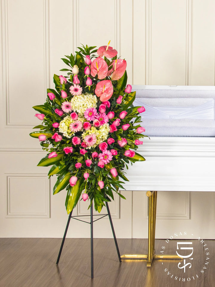 Lágrima de Condolencias de Rosas Rosadas, Gerberas y Anturios arreglo de condolencias con 48 rosas rosadas