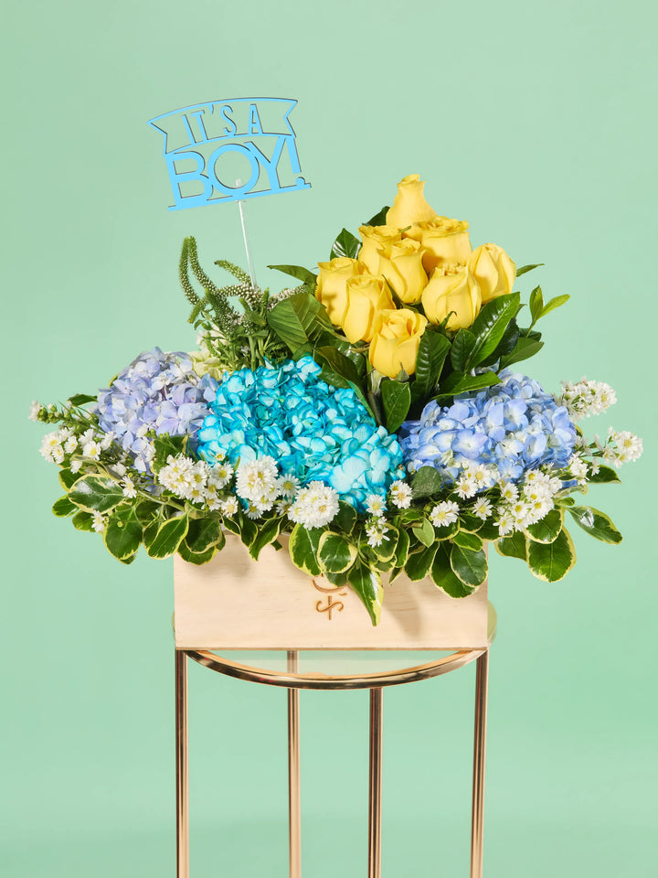 It’s a Boy · Premium