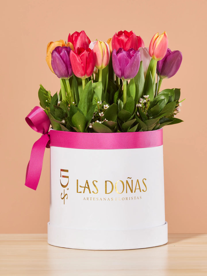 Box de Tulipanes · Premium