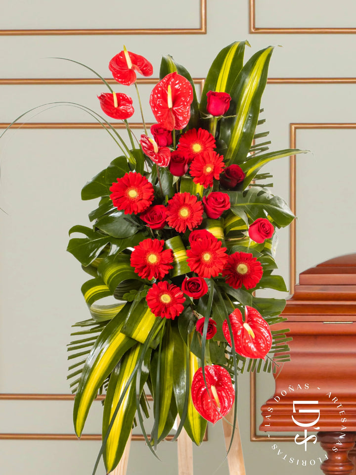 Lágrima de Condolencias de Rosas Rojas y Anturios arreglo de condolencias con 12 rosas rojas