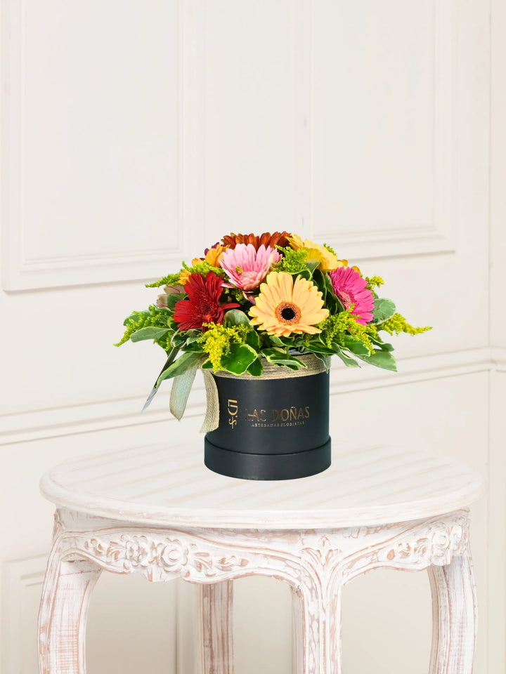 Box De Gerberas