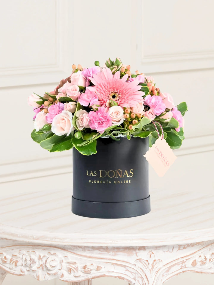 Gerberas Y Minirosas