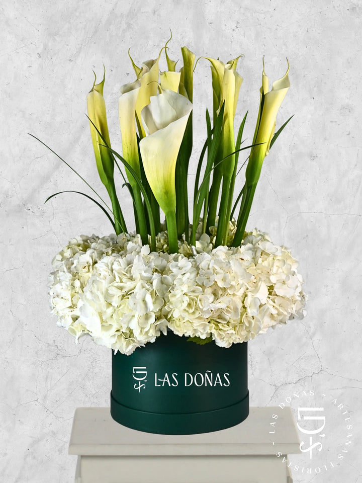 Hortensias y Cartuchos arreglo de condolencias con 12 calas y hortensias
