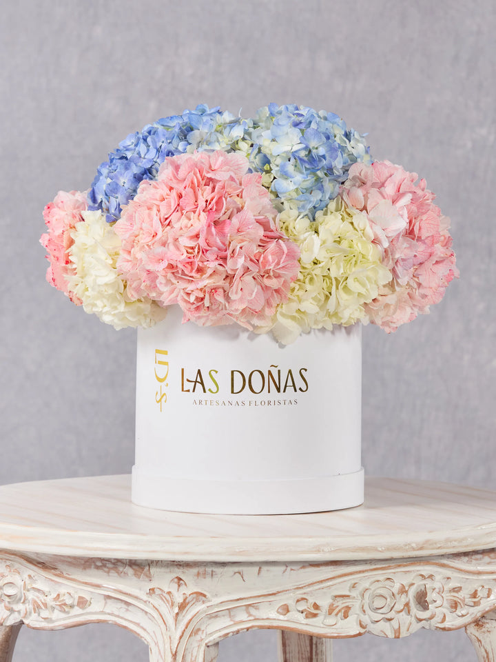 Box de Hortensias · Deluxe
