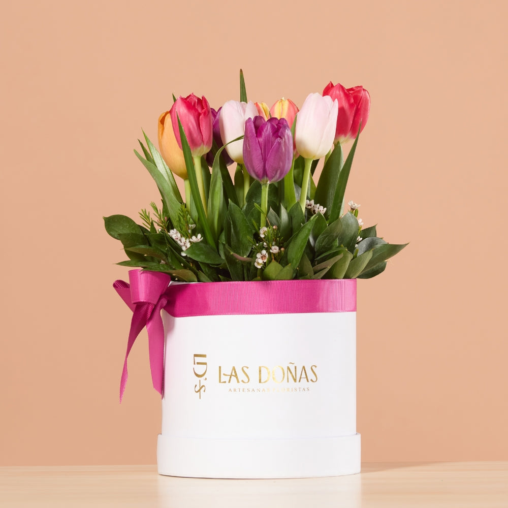 Box de Tulipanes