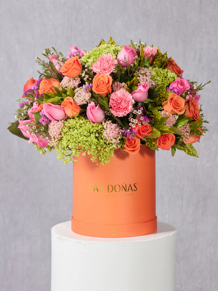 Doña Renata · Deluxe