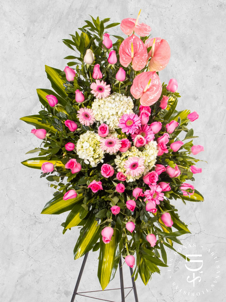 Lágrima de Condolencias de Rosas Rosadas, Gerberas y Anturios arreglo de condolencias con 48 rosas rosadas