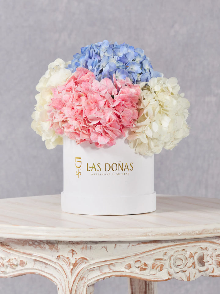 Box de Hortensias · Clásico