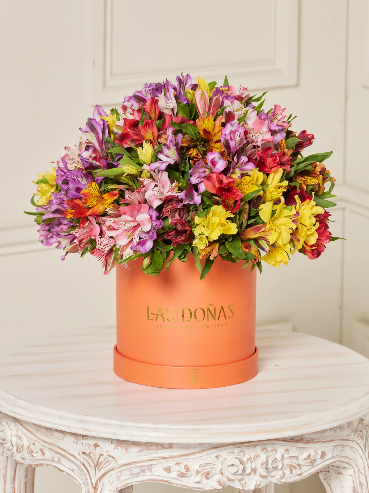 Box de Astromelias · Premium