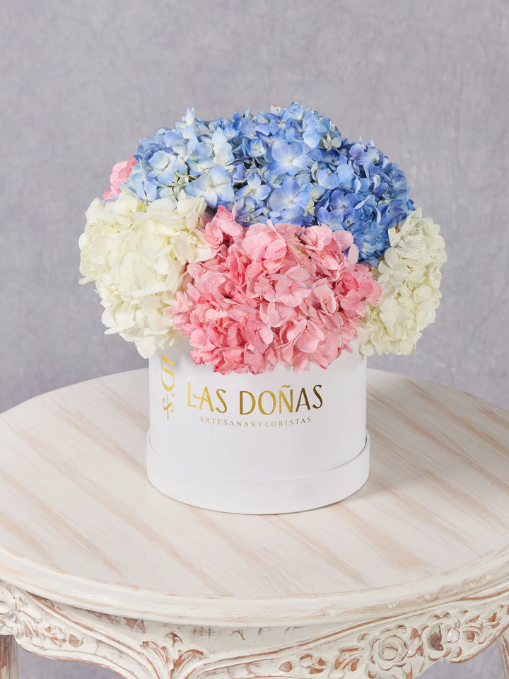 Box de Hortensias · Premium