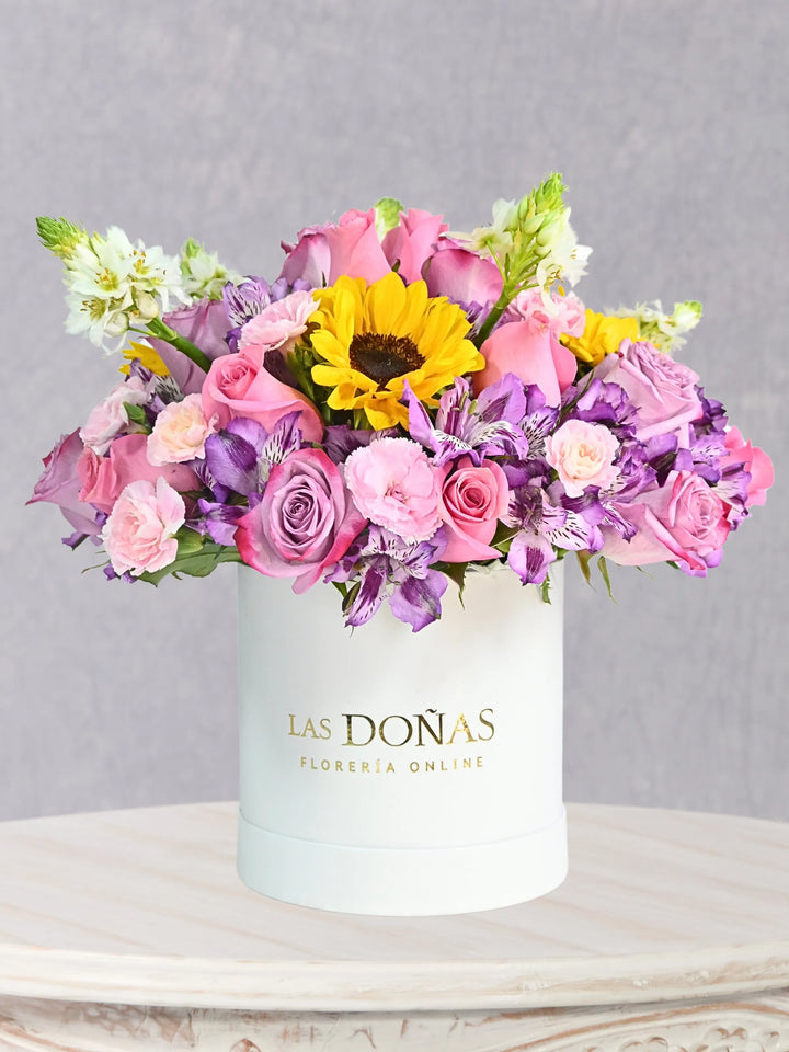 Box Primavera