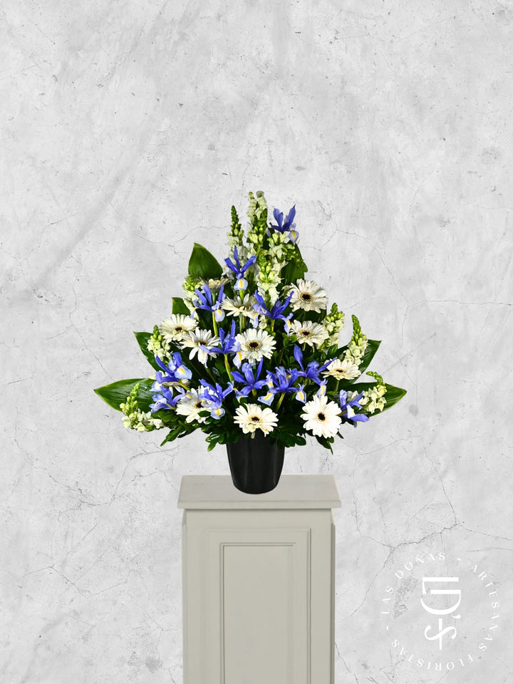 Gerberas e Iris en Base de Cerámica arreglo de condolencias con 12 gerberas blancas