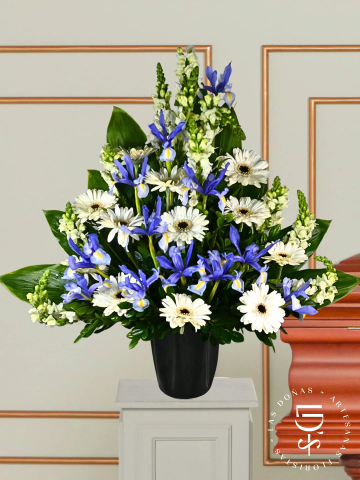 Gerberas e Iris en Base de Cerámica arreglo de condolencias con 12 gerberas blancas