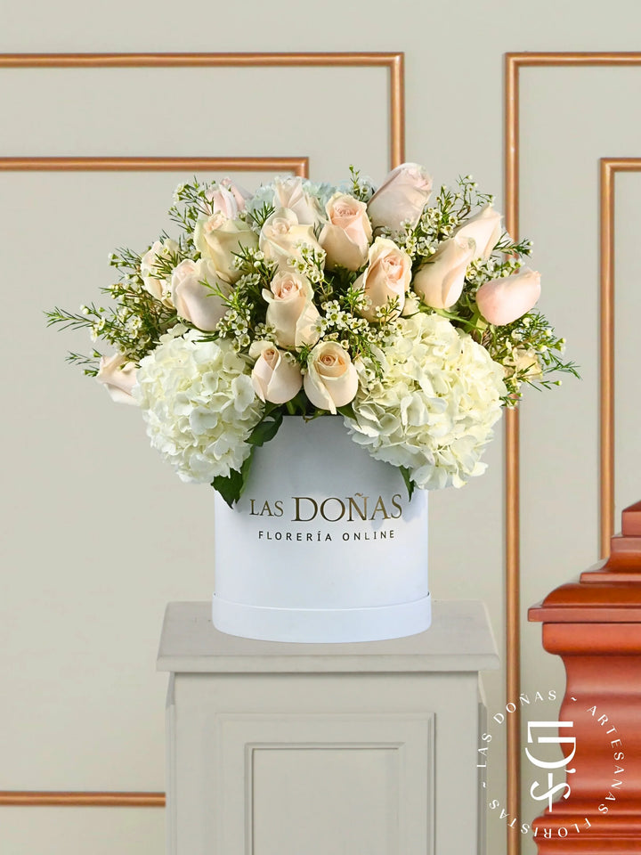 Box Condolencias box floral con 36 rosas blancas