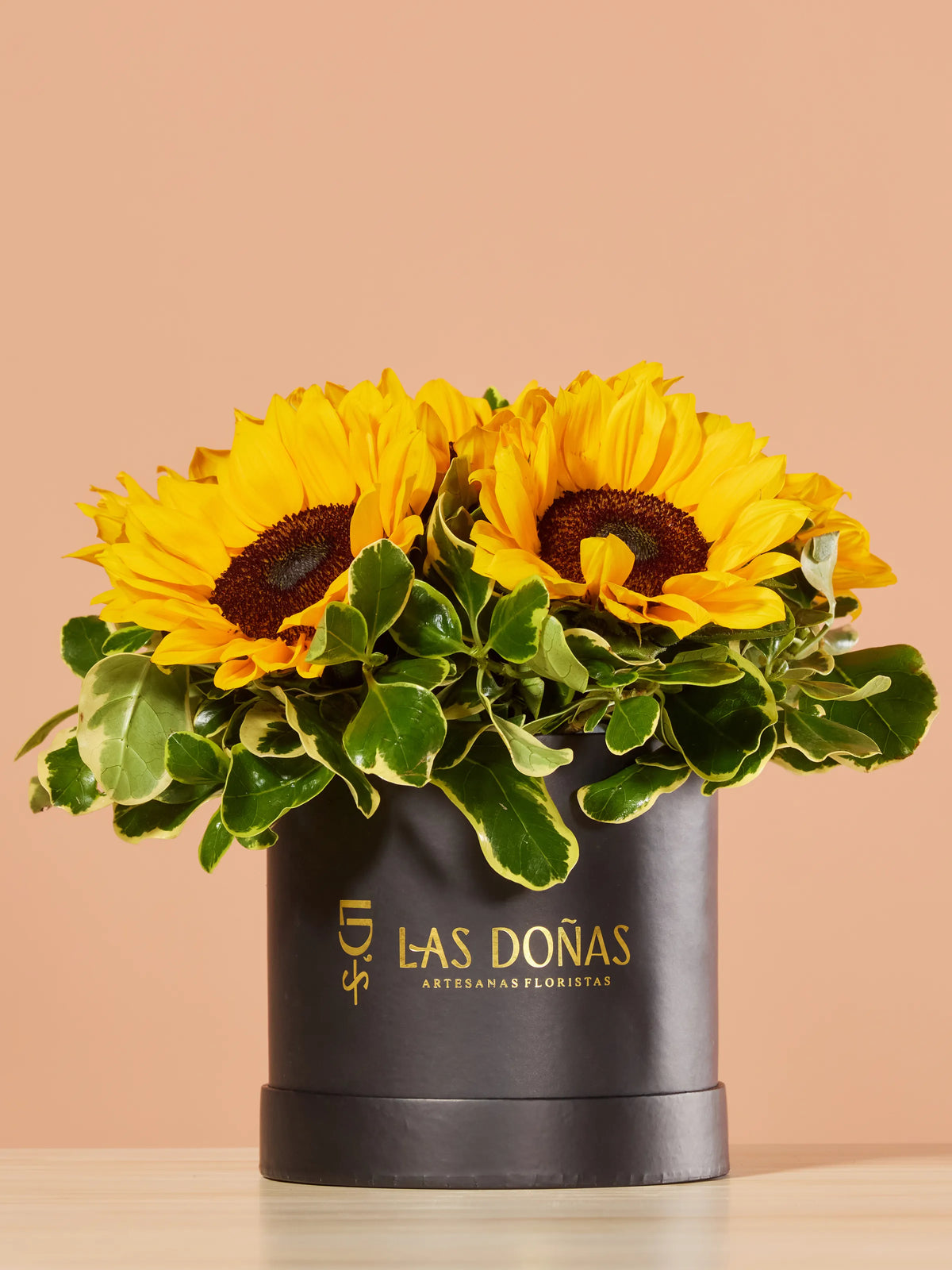 Box de Girasoles · Clásico