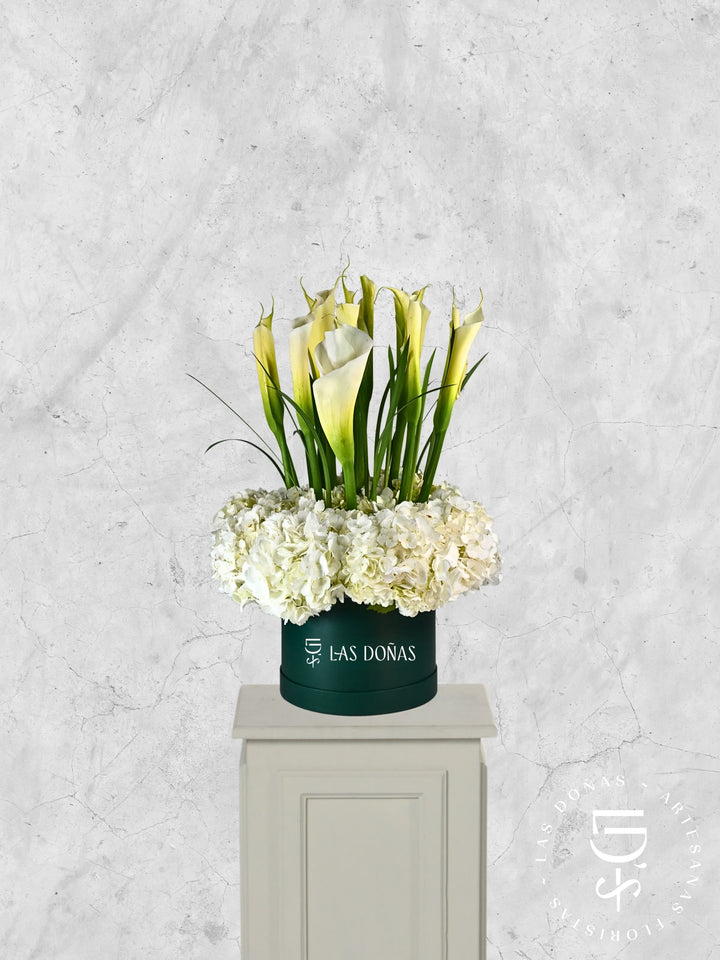 Hortensias y Cartuchos arreglo de condolencias con 12 calas y hortensias