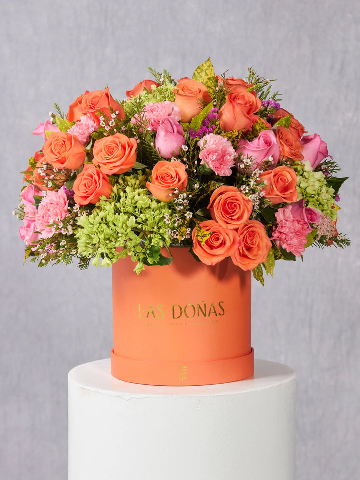 Doña Renata · Premium