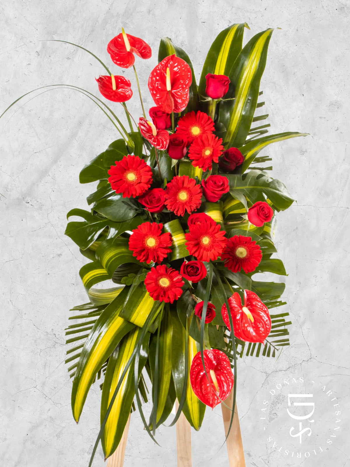Lágrima de Condolencias de Rosas Rojas y Anturios arreglo de condolencias con 12 rosas rojas