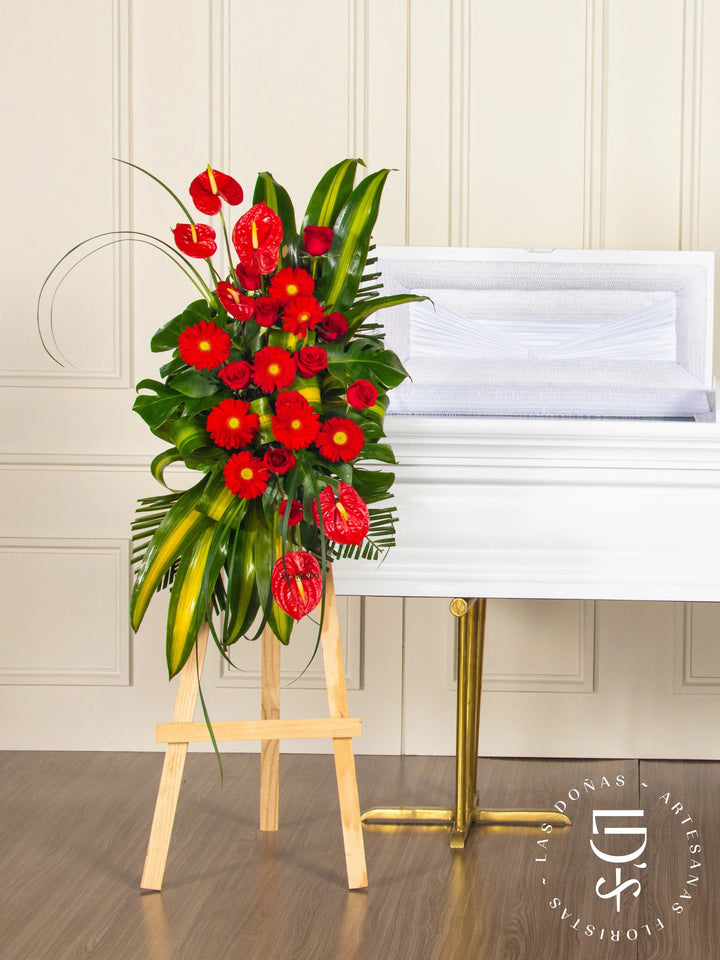 Lágrima de Condolencias de Rosas Rojas y Anturios arreglo de condolencias con 12 rosas rojas