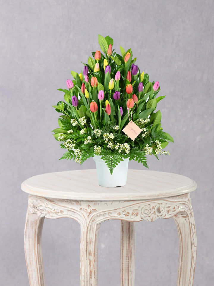 Tulipanes Love