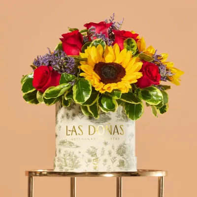 images/LISTAS/AMOR/LD100C-1.webp