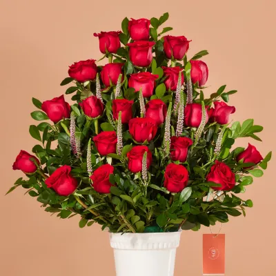 images/LISTAS/AMOR/LD101C-1.webp