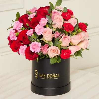 images/LISTAS/AMOR/LD114C-1.webp