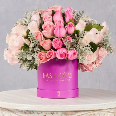 images/LISTAS/AMOR/LD118C-1.webp