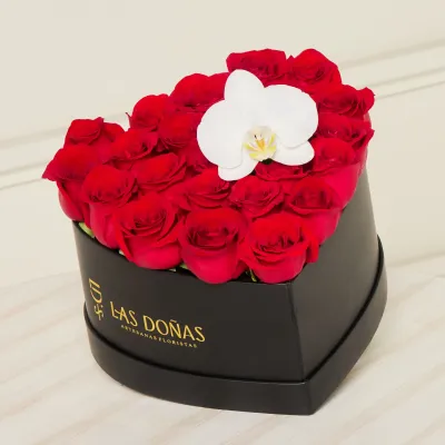 images/LISTAS/AMOR/LD120C-1.webp