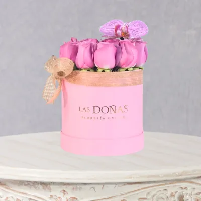 images/LISTAS/AMOR/LD174-1.webp